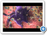 nanomedicine: nanotechnology for cancer treatment